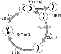 www.xiangpi.com