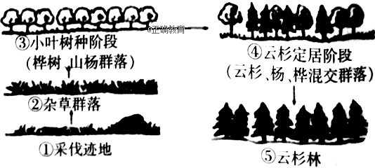 www.xiangpi.com