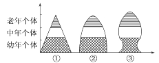 www.xiangpi.com