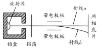 www.xiangpi.com