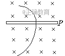 www.xiangpi.com