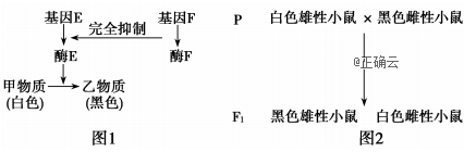 www.xiangpi.com