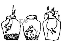 www.xiangpi.com
