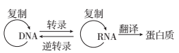 www.xiangpi.com