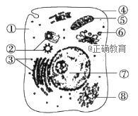 www.xiangpi.com