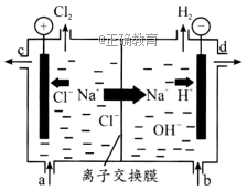 根据所学知识回答下列问题。1.利用如下图所示