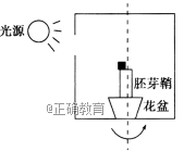 www.xiangpi.com