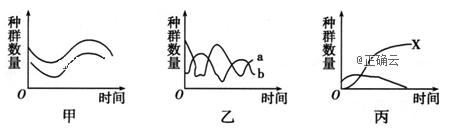 www.xiangpi.com