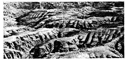 www.xiangpi.com