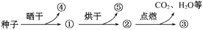 www.xiangpi.com
