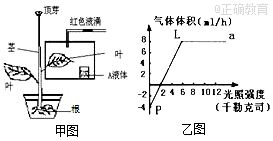 www.xiangpi.com