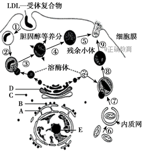 www.xiangpi.com