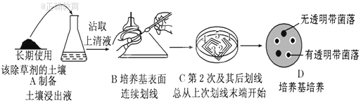 www.xiangpi.com