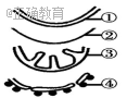 www.xiangpi.com