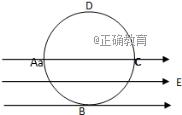 www.xiangpi.com