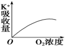 www.xiangpi.com