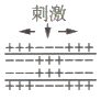 www.xiangpi.com
