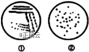 www.xiangpi.com