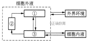 www.xiangpi.com