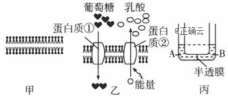 www.xiangpi.com