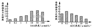 www.xiangpi.com
