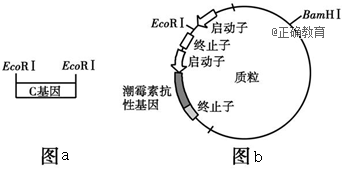 www.xiangpi.com