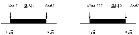 www.xiangpi.com