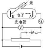 www.xiangpi.com