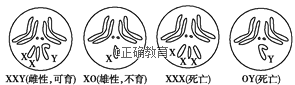 www.xiangpi.com
