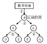 www.xiangpi.com