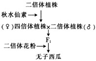 (1)秋水仙素的作用机理是_________________.