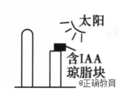 www.xiangpi.com