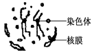 www.xiangpi.com