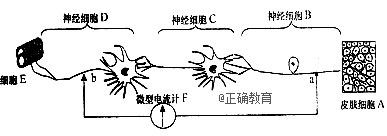 www.xiangpi.com
