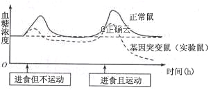 www.xiangpi.com