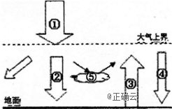 www.xiangpi.com