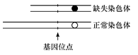 www.xiangpi.com