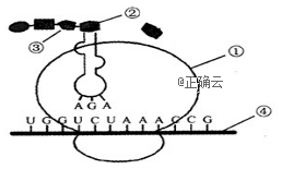 www.xiangpi.com
