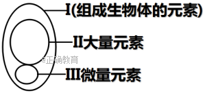 www.xiangpi.com