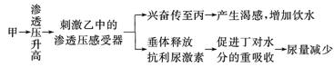 www.xiangpi.com