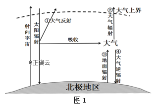 www.xiangpi.com