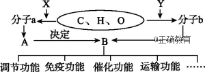 www.xiangpi.com