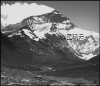 www.xiangpi.com