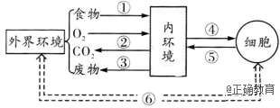www.xiangpi.com