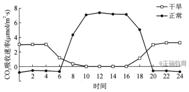 www.xiangpi.com