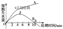 www.xiangpi.com
