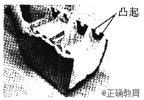 www.xiangpi.com
