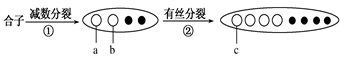 www.xiangpi.com
