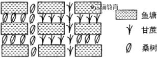 www.xiangpi.com