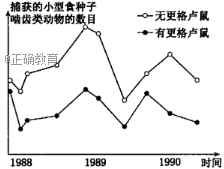 www.xiangpi.com